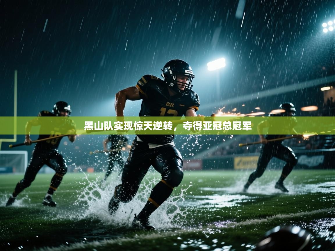 黑山队实现惊天逆转,夺得亚冠总冠军 第1张