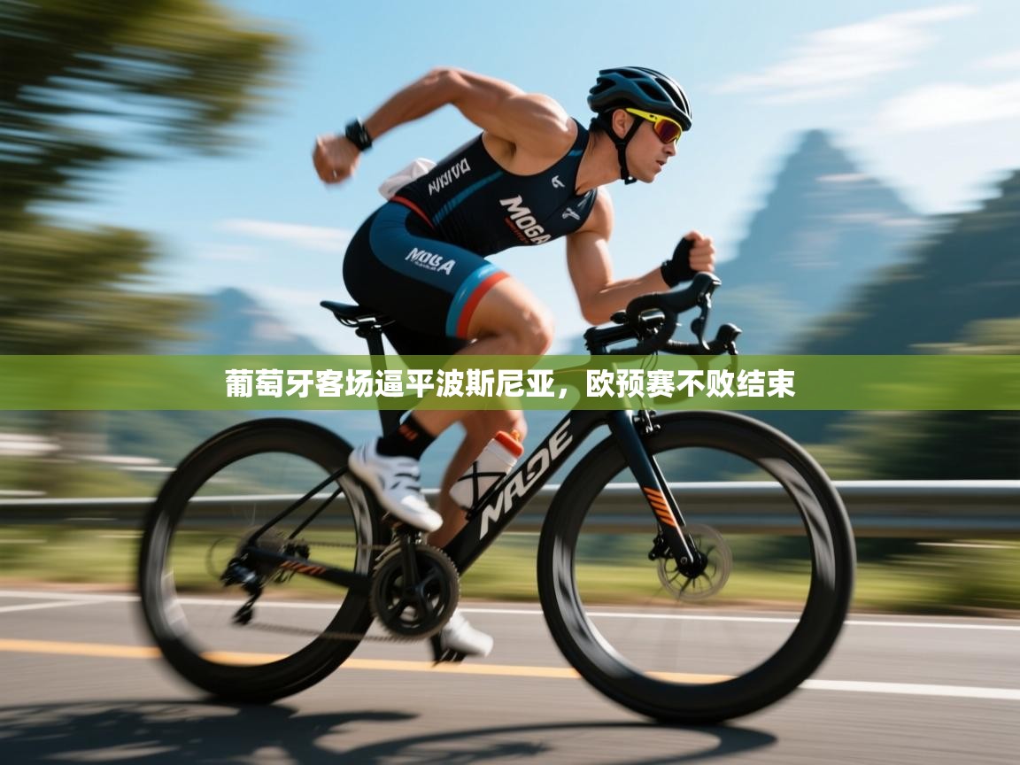 葡萄牙客场逼平波斯尼亚，欧预赛不败结束  第2张