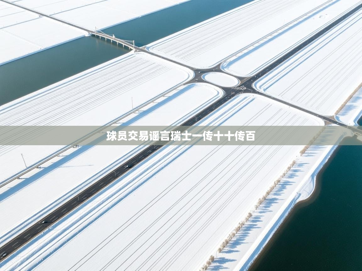 球员交易谣言瑞士一传十十传百  第2张